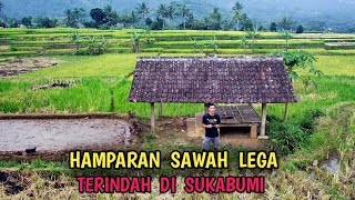 Hamparan Sawah Lega Di Sukabumi Dengan Pemandangan Alam Yang Sangat Indah