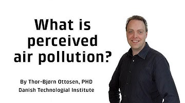 What is perceived air pollution?