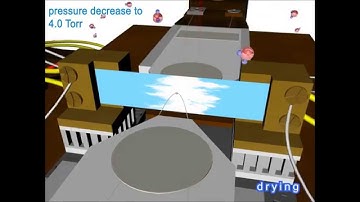 In situ swelling experiments of paper