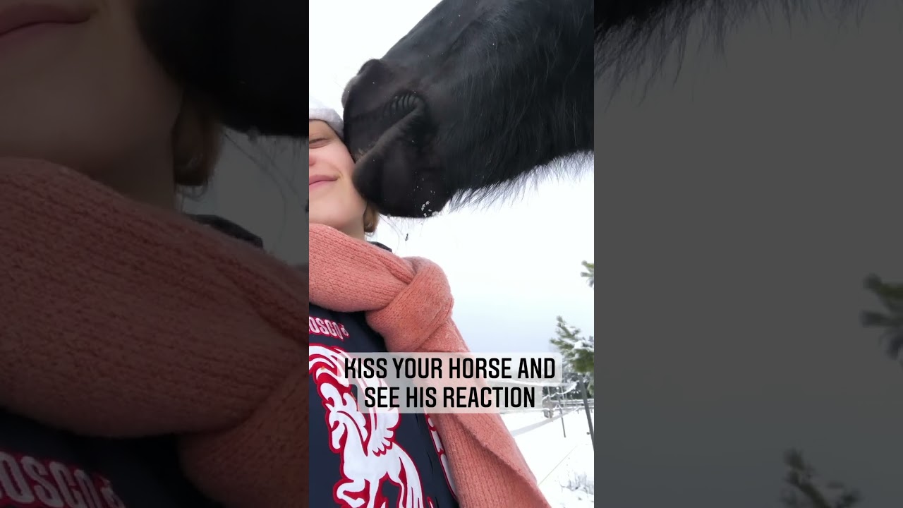kiss 💋 your horse 🐎 and see reaction