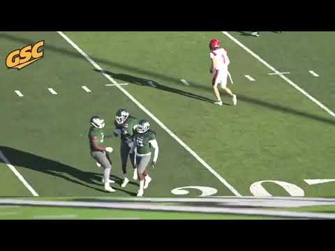 Sherrod Paige (Playmaker) highlights|Safety @ Delta state university| 6’2-195