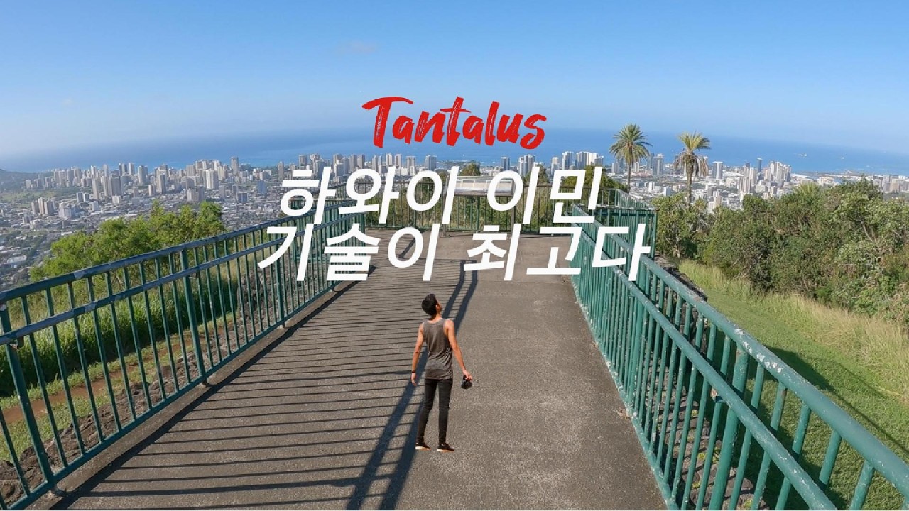 하와이 이민 기술이 최고다.