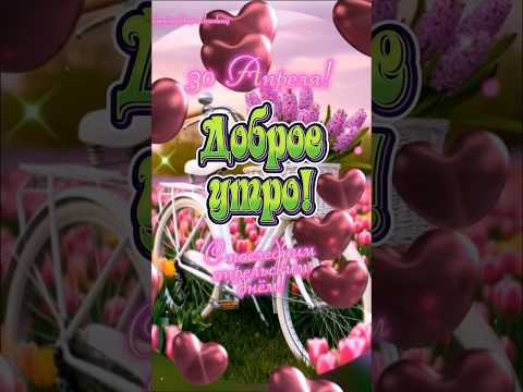 Доброго утра среды, мои хорошие!💖🕊🫖#30#апрель #среда #сдобрымутром #популярное #рекомендации