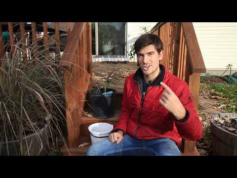 Video: Trin til at bringe planter indenfor til vinteren