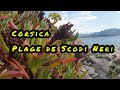 Secret Revealed: Corsica&#39;s Stunning Plage de Scodi Neri