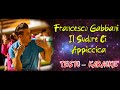 Francesco Gabbani - Il Sudore Ci Appiccica / TESTO