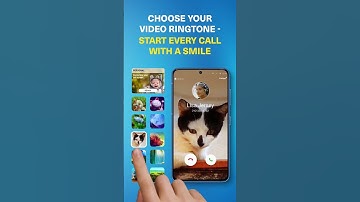 Block Spam Calls Instantly! 🚫 | CallApp: Caller ID & Spam Blocker