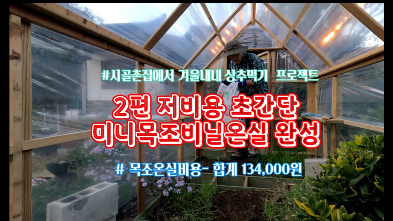 저비용 초간단 미니목조비닐온실  완성 2편/ 겨울내내 쌈채소 마음껏 먹기 프로젝트/  동네맛집-해물파전,잔치국수/5도2촌 