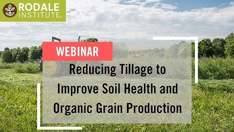 Webinar: Reducing Tillage to Improve Soil Health and Organic Grain Production