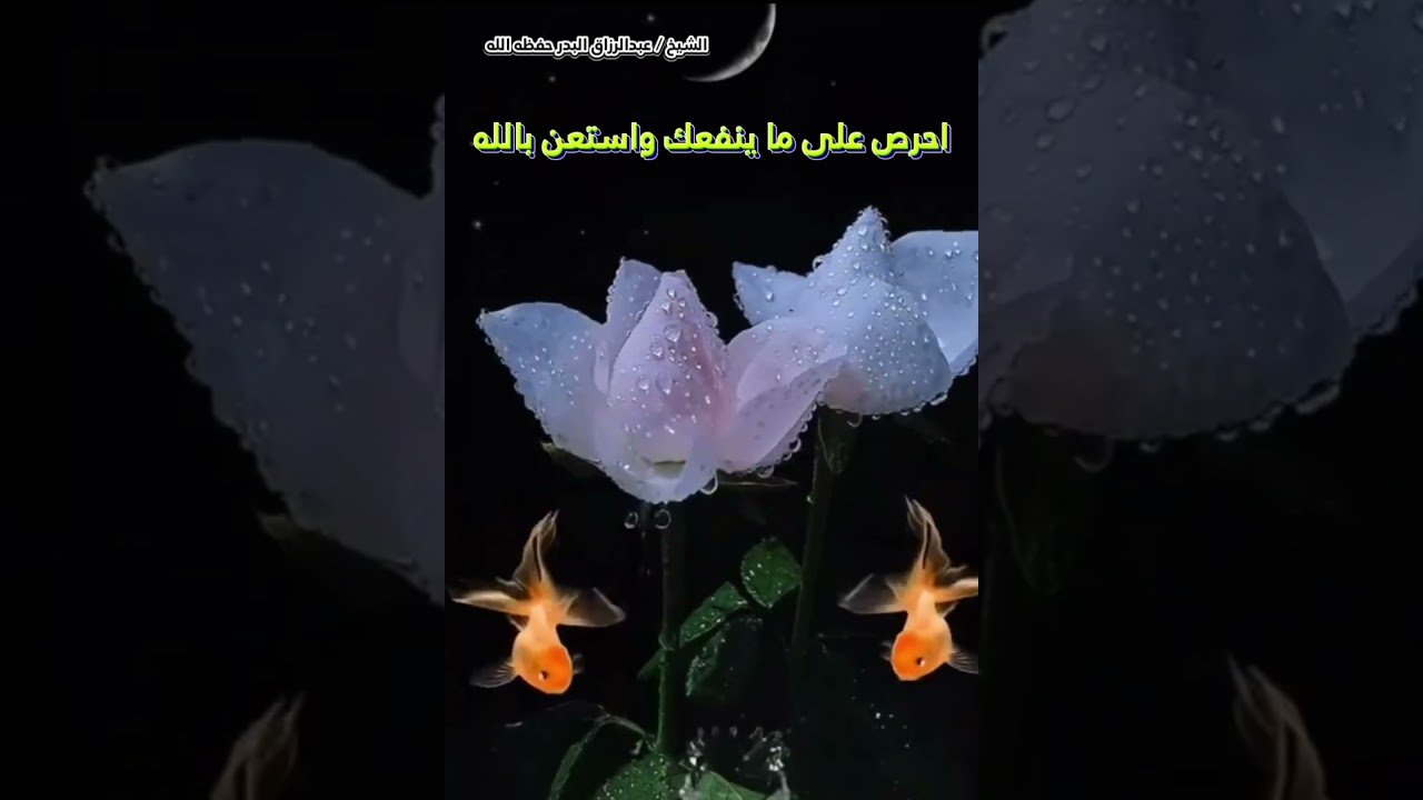 احرص على ما ينفعك واستعن بالله... [قاعدة ضعها في نصب عينيك 💯] || الشيخ عبدالرزاق البدر