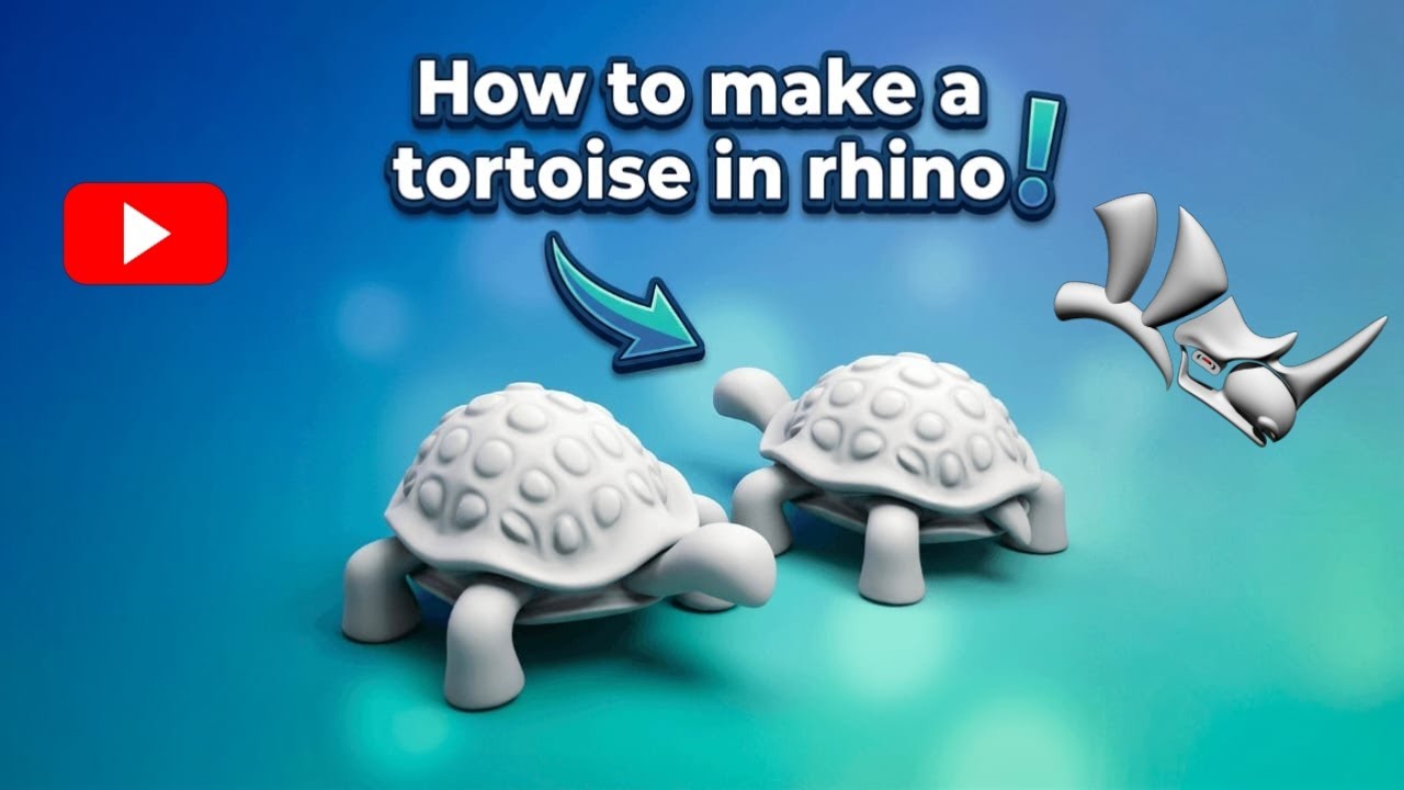How to Model a 3D Tortoise in Rhino – Beginner Rhino Tutorial - YouTube