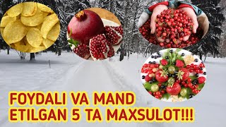 Qishda Foydali Va Mand Etilgan Malumotlar