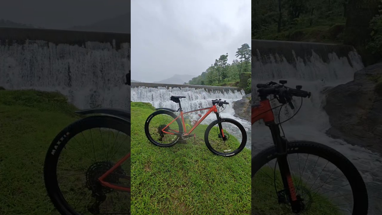 Do More of what keeps you Alive 🔥