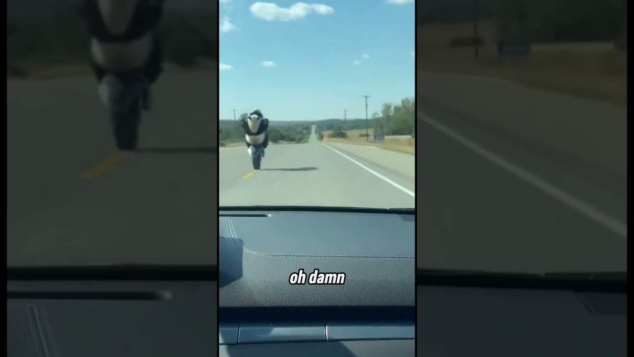🐼 Panda Wheelie Madness! Motorcycle Stunt on the Road! 😂