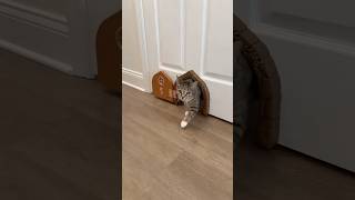 18 Amazon finds because manual labor is officially canceled.