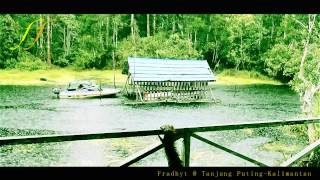 Save The Orangutan - Tanjung Putingkalimantan -