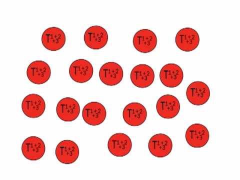 Clonal evolution of tumours