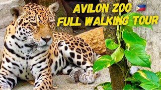 Best Zoo Manila Philippines: Avilon Zoo Full Walking Tour Rodriguez Rizal 2022 | Leopard | Giraffe