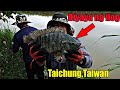 Catch and Outdoor Cooking : Mga Dambuhalang Tilapia ( HANDLINE FISHING )