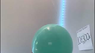 Balloon episode 🎈108328