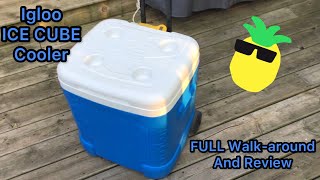 Famous Igloo ICE CUBE Cooler - Full Walk-around and Review Net Worth