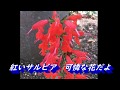 紅いサルビア 原曲 桐山純一 Cover ステッキ