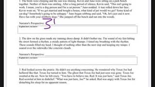 August 25: Point of View Worksheet
