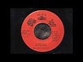 Miniature de la vidéo de la chanson A Wise Dub