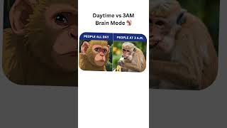 Daytime Vs 3Am Brain Mode Relatable Monkey Meme