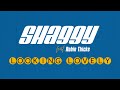 Shaggy Feat Robin Thicke Looking Lovely Official Audio