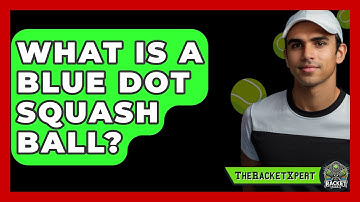 What Is A Blue Dot Squash Ball? - The Racket Xpert