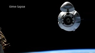 SpaceX CRS-33 Dragon docking Wealth