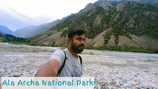 Video Download