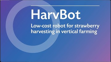 HarvBot, low-cost robots for strawberry harvesting in vertical farming
