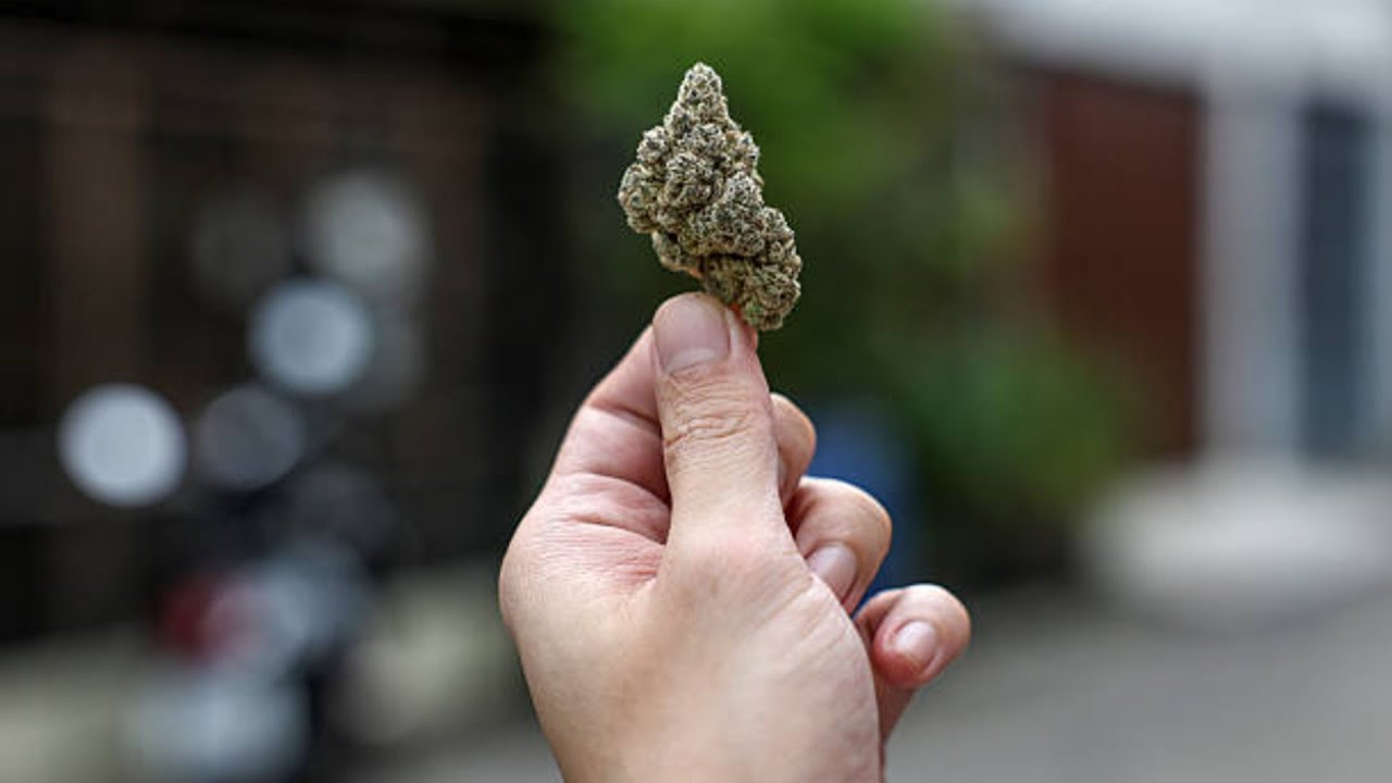 US Expected to Ease Restrictions on Marijuana
