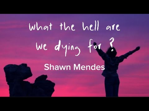 Shawn Mendes - what the hell are we dying for ?