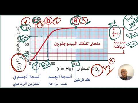 معلومات عن منحنى تفكك الهيموجلوبين