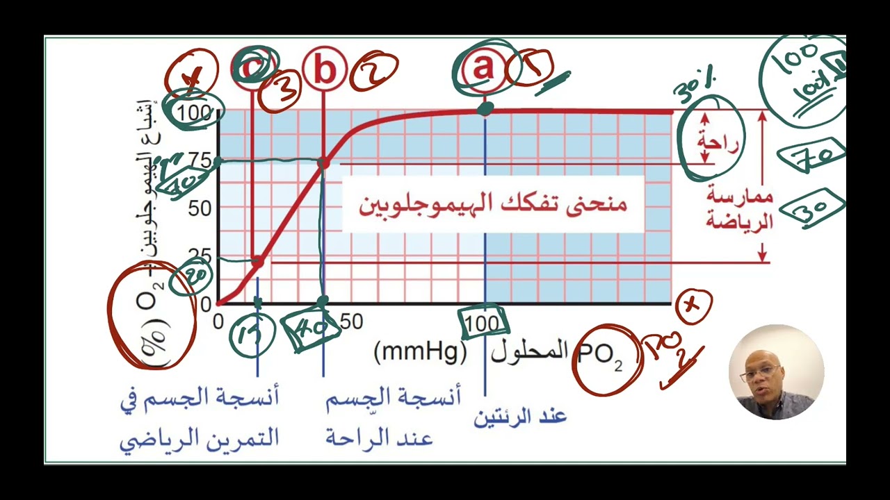 معلومات عن منحنى تفكك الهيموجلوبين