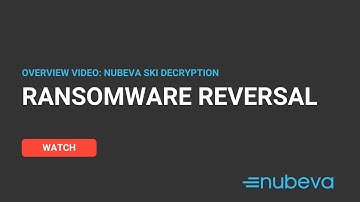 Nubeva  Ransomware Reversal Overview_Nov 9th