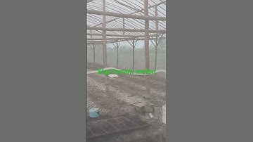 Thumbnail of Green House bambu