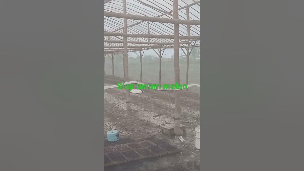 Green House bambu
