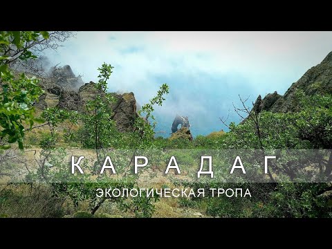 Video: Reserve Karadag in the Crimea. Flora and fauna of the Karadag Reserve