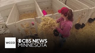 Minnesota farmers face myriad of challenges, from weather to unpredictable prices