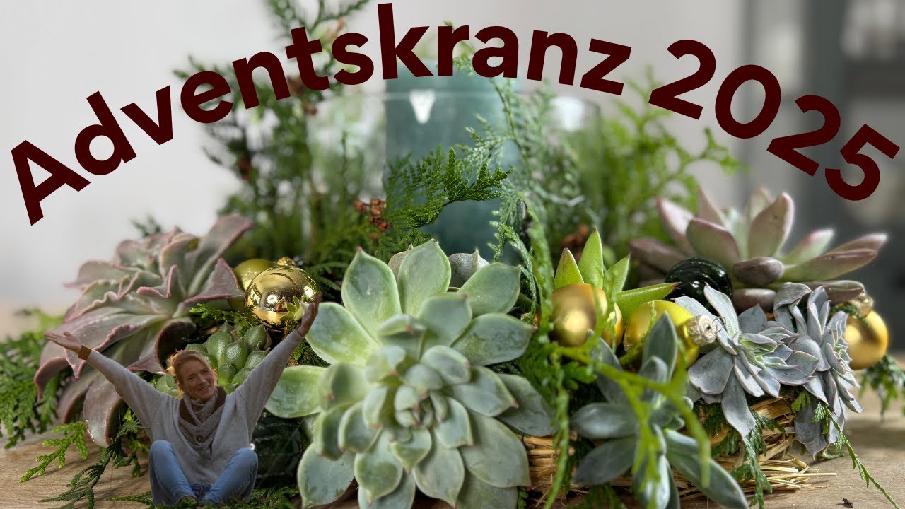 weihnachtsstern schwarz beleuchtet Alpha Stern Schwarz 45 cm – Markslöjd
