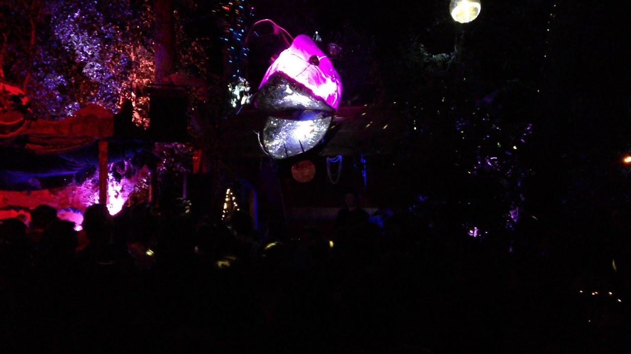 ZIMT @ Bucht der Träumer 2018