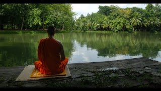 Mindfulness Meditation: What is it and how to do it.