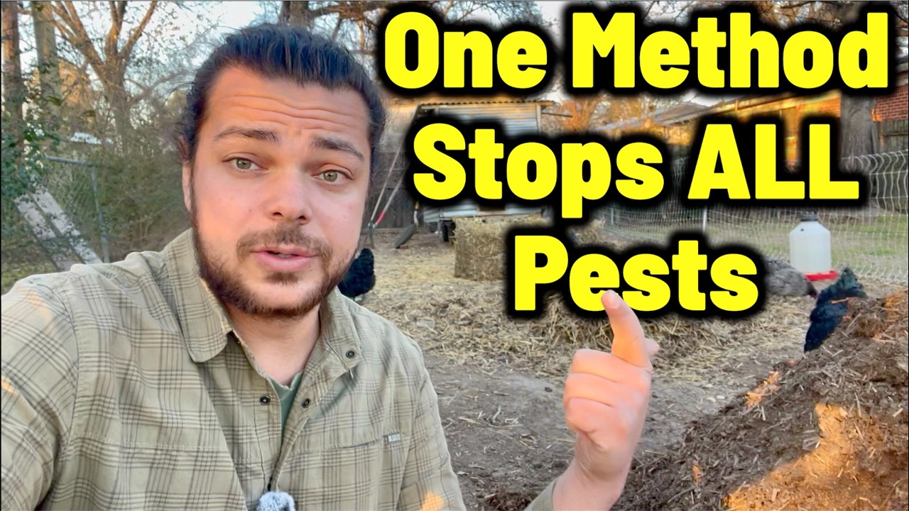 Простой способ избавиться от ВСЕХ садовых вредителей (вопросы и ответы)