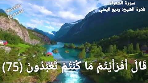 تلاوة خاشعة من سورة الشعراء/ وديع اليمني