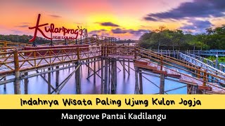 Indahnya Wisata Paling Ujung Kulon Jogja, Mangrove Pantai Kadilangu