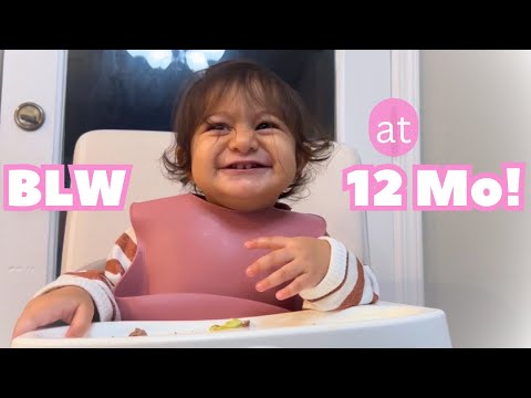 Baby Led Weaning First Year Progress (tips + realistic expectations!) | 12 Months